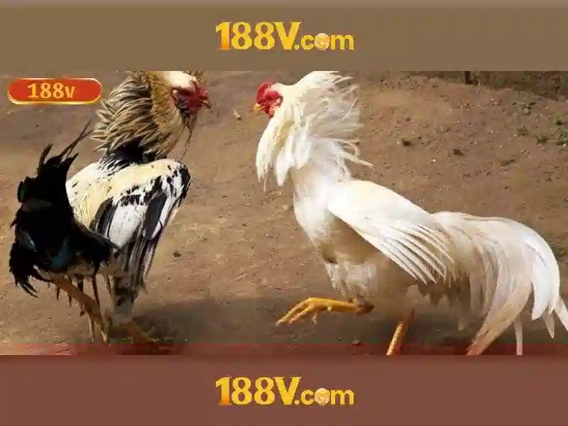 An toàn khi làm việc với 188V