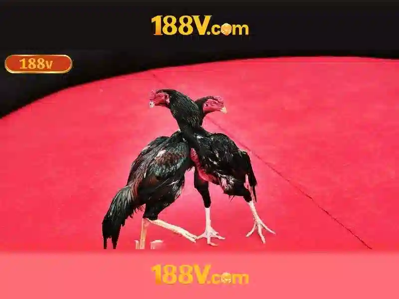 Khám phá 188v: một khái niệm độc đáo trong công nghệ số