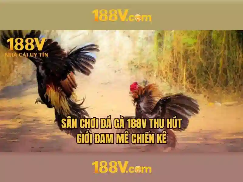 188v - mot bi an giua cac con so