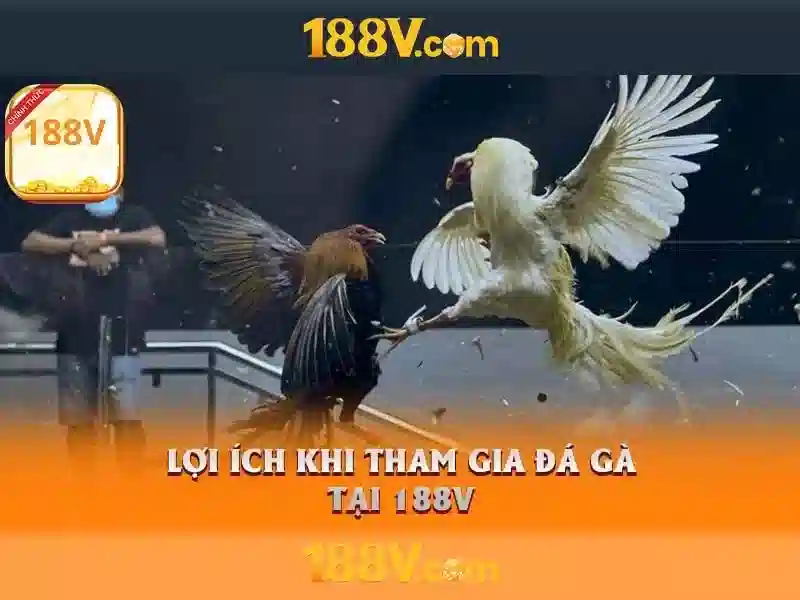 Định hướng tương lai và suy ngẫm