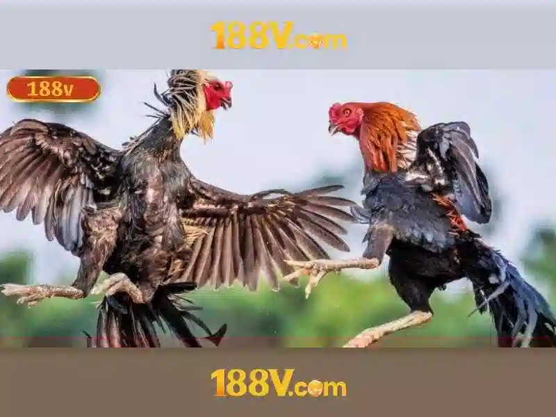 Giới thiệu về 188v