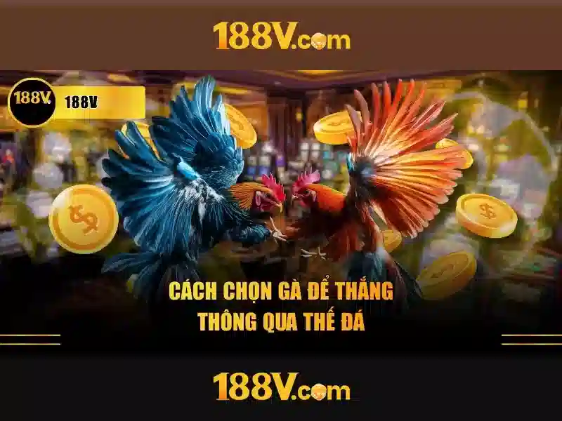 188V: Định nghĩa và ngữ cảnh