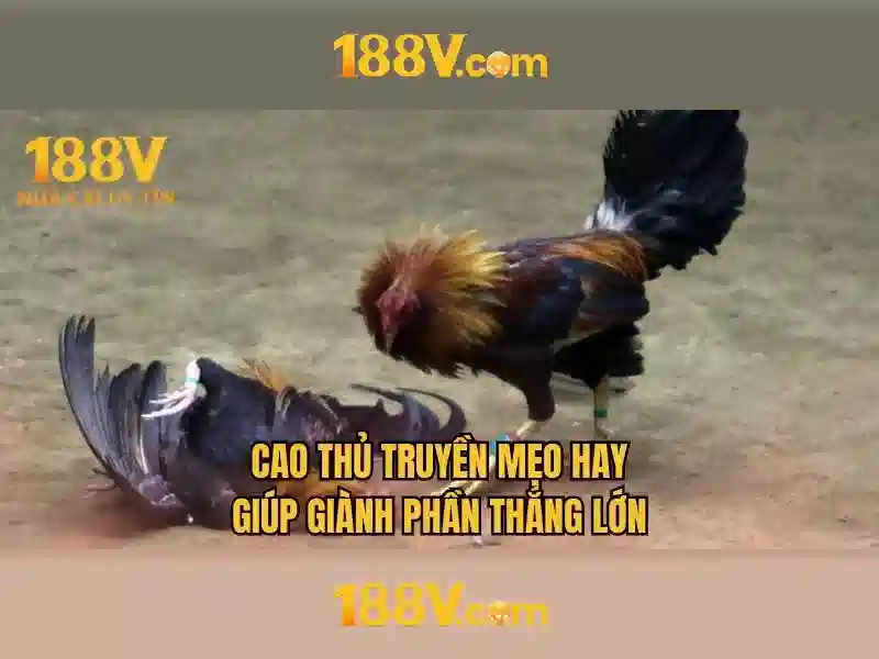 188V: Năng lượng và cảm hứng cho tương lai