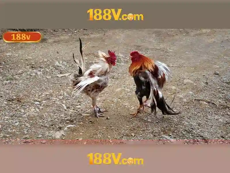 188V trong văn hóa và nghệ thuật\n<h3>Khía cạnh triết học và thời đại số</h3>\n<p style=