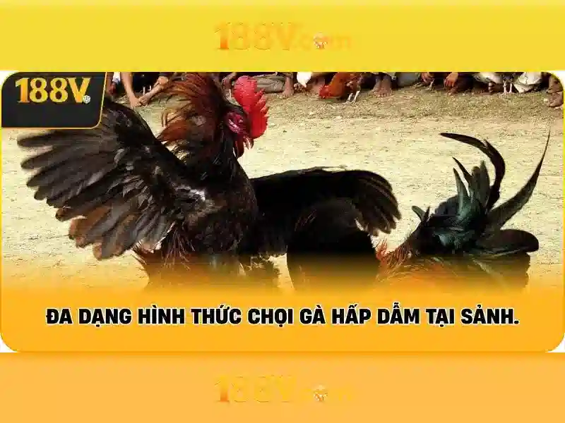 188v tại – Tổng quan chủ đề và giá trị cốt lõi