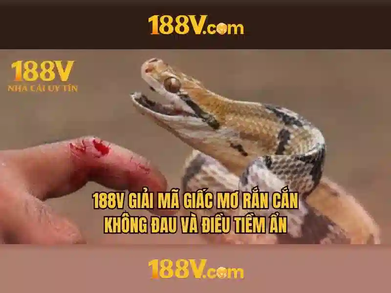 Ứng dụng và trải nghiệm\n\n<h2 style=