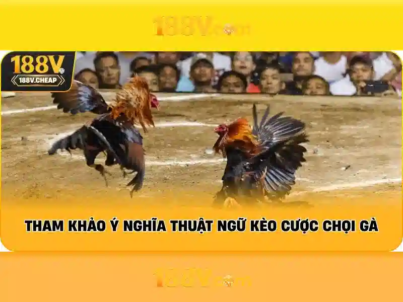 Trải nghiệm người dùng và phản hồi từ cộng đồng