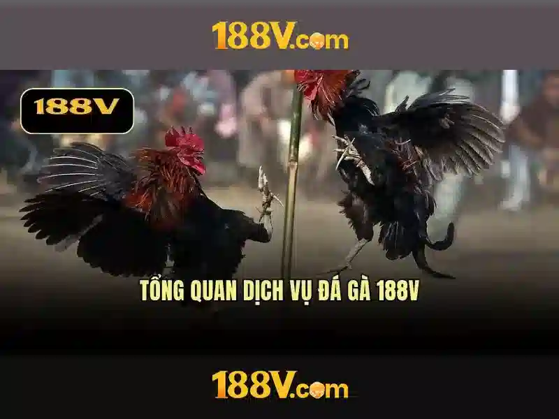 Phát triển và ứng dụng của 188v\n\n<h>Kết luận và tầm nhìn</h>\n<p style=