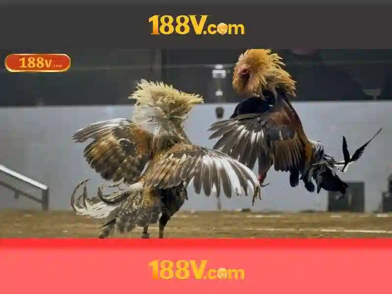 Nguồn gốc của 188v trong hệ thống điện giả tưởng