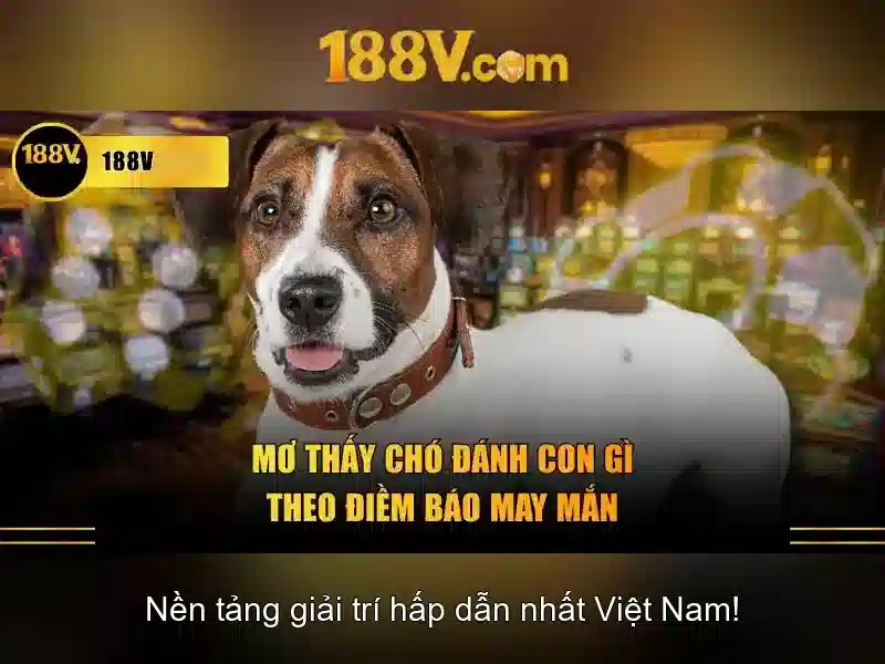 Khối lượng và giá trị 188v con