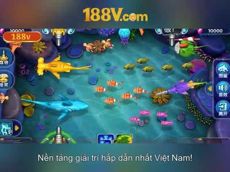 Nguồn gốc và động lực phát triển