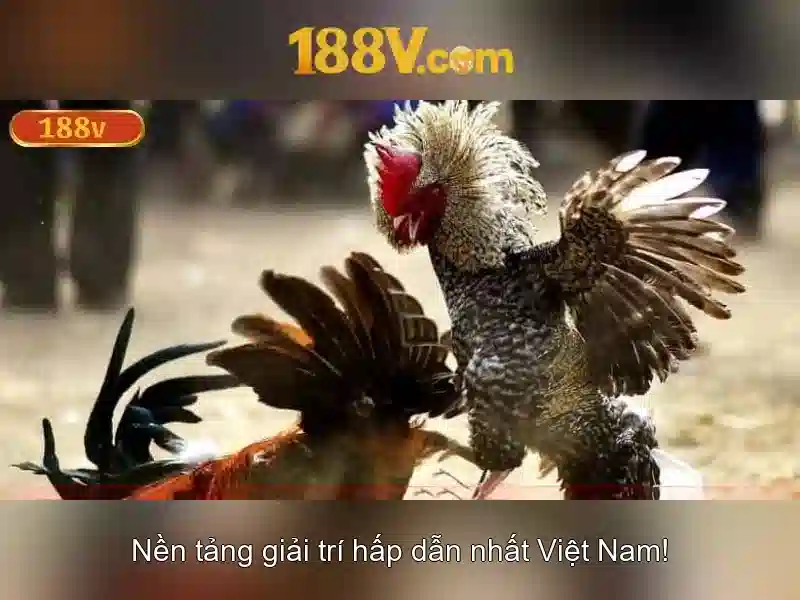 Tổng quan chủ đề và giá trị cốt lõi