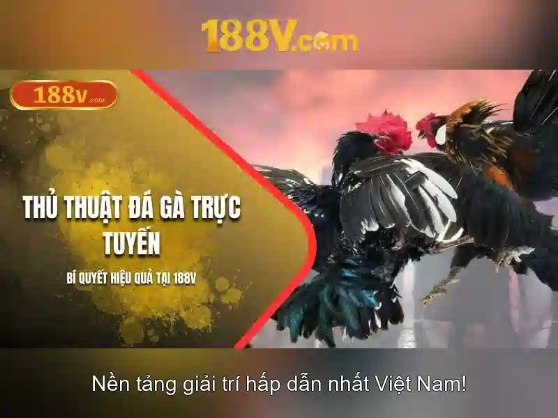 Nguồn gốc và ý nghĩa