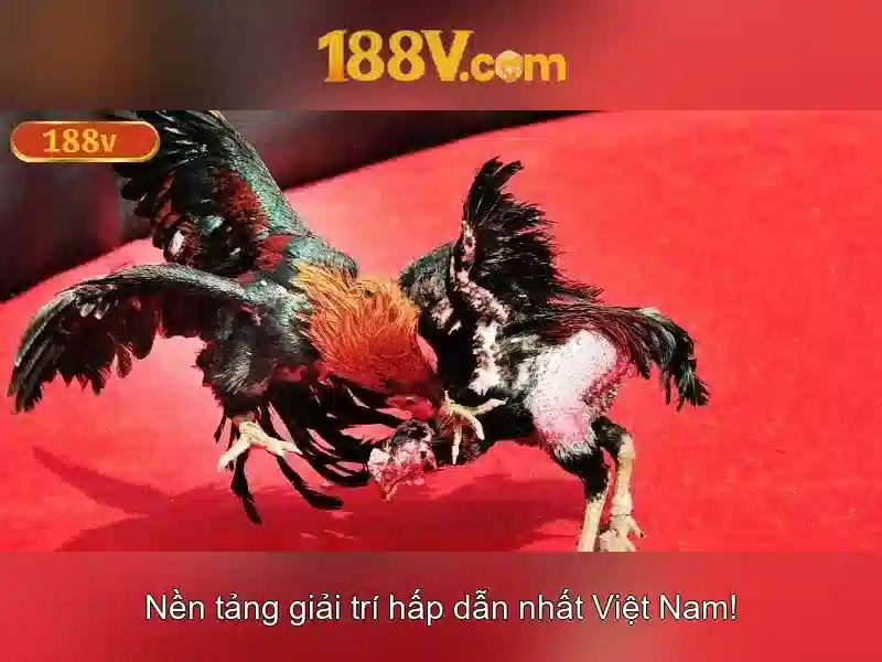188v: một khái niệm mở