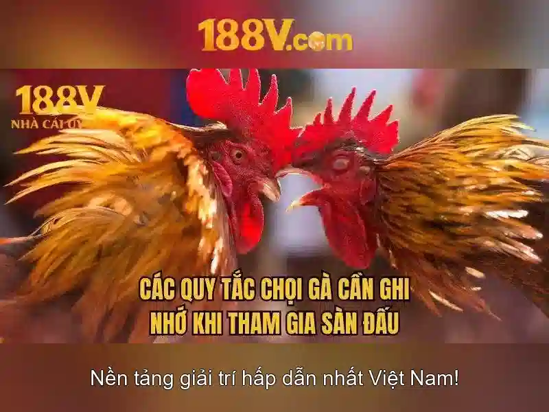 188v: một khái niệm và hành trình sáng tạo