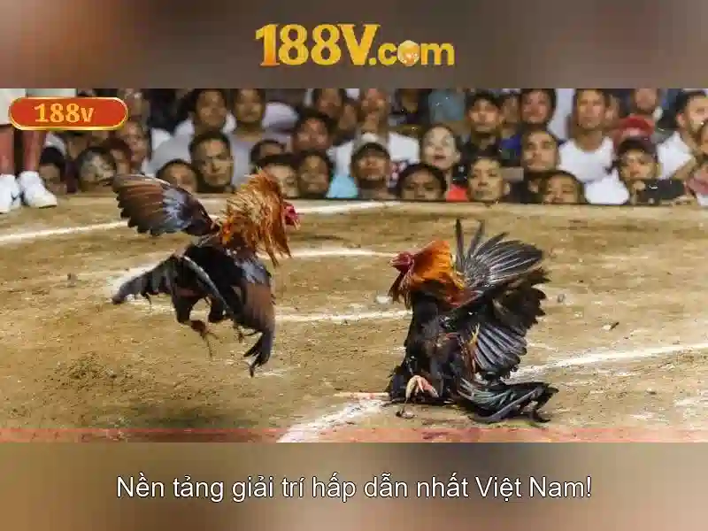188v là gì? Khía cạnh và ứng dụng trong công nghệ