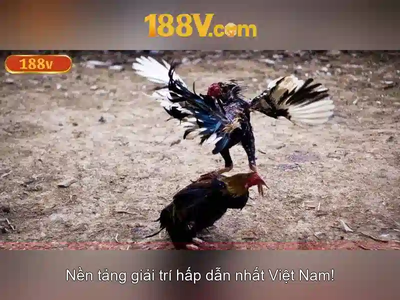 188V là gì và ứng dụng của nó