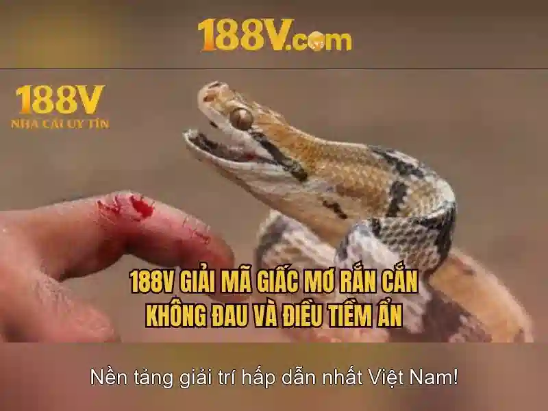 Con đường tới nhận thức